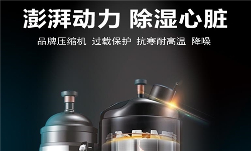 別吃了潮濕環境的虧，除濕機正確開啟方式