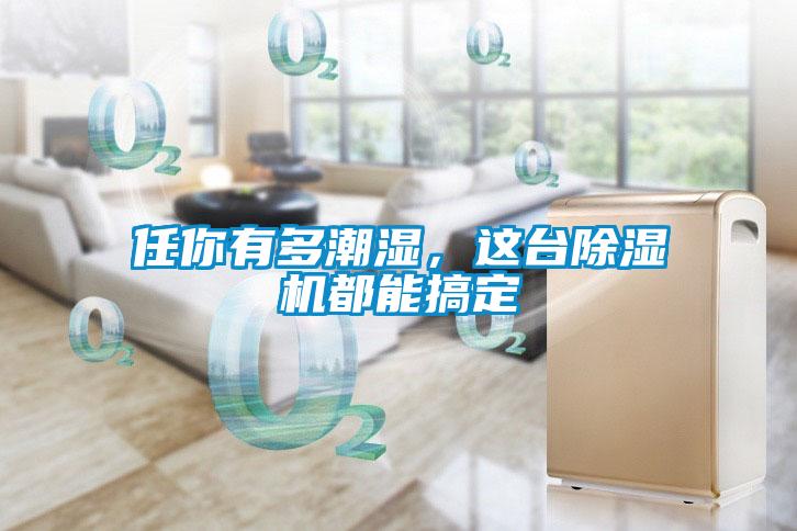 任你有多潮濕，這臺除濕機(jī)都能搞定
