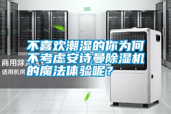 不喜歡潮濕的你為何不考慮安詩曼除濕機的魔法體驗呢？