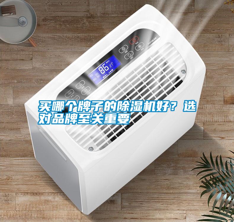 買哪個(gè)牌子的除濕機(jī)好？選對品牌至關(guān)重要