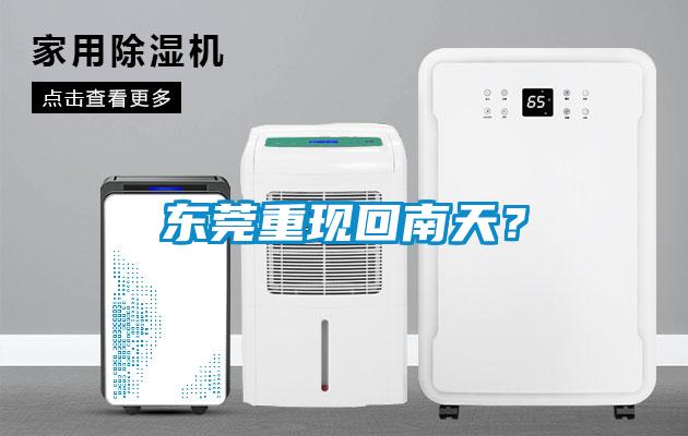 東莞重現回南天？