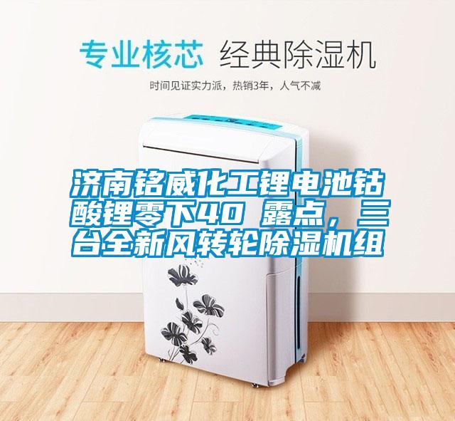 濟(jì)南銘威化工鋰電池鈷酸鋰零下40℃露點(diǎn)，三臺(tái)全新風(fēng)轉(zhuǎn)輪除濕機(jī)組