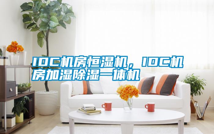 IDC機(jī)房恒濕機(jī)，IDC機(jī)房加濕除濕一體機(jī)