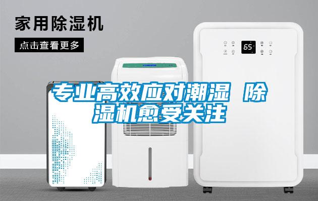 專(zhuān)業(yè)高效應(yīng)對(duì)潮濕 除濕機(jī)愈受關(guān)注