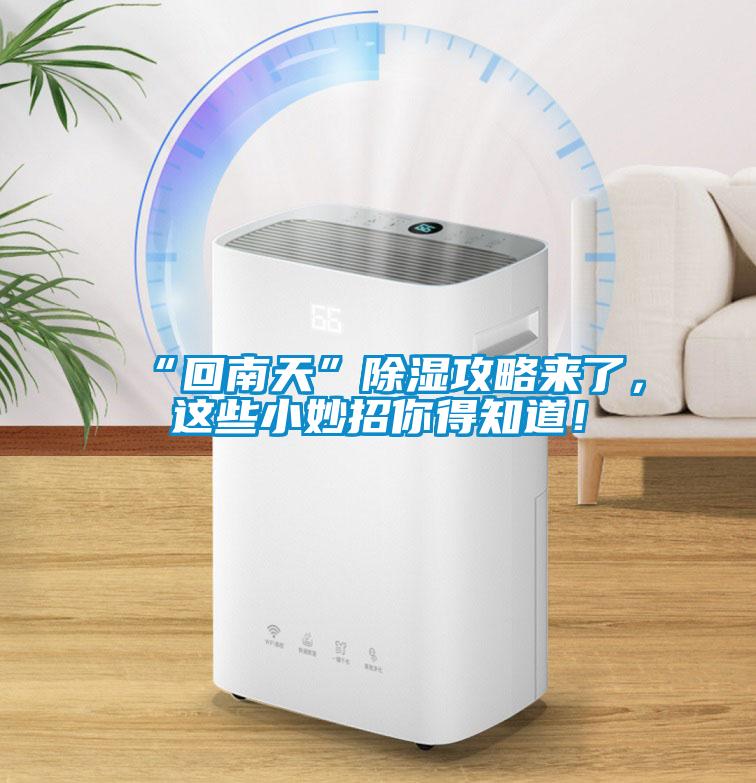 “回南天”除濕攻略來了，這些小妙招你得知道！