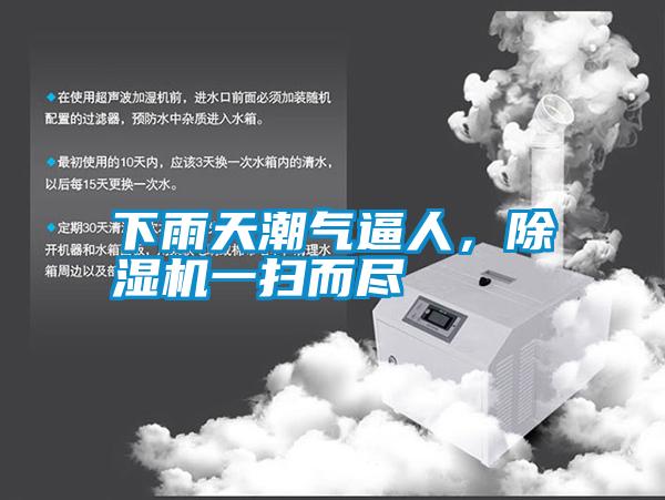 下雨天潮氣逼人，除濕機(jī)一掃而盡