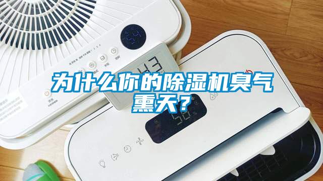 為什么你的除濕機臭氣熏天？