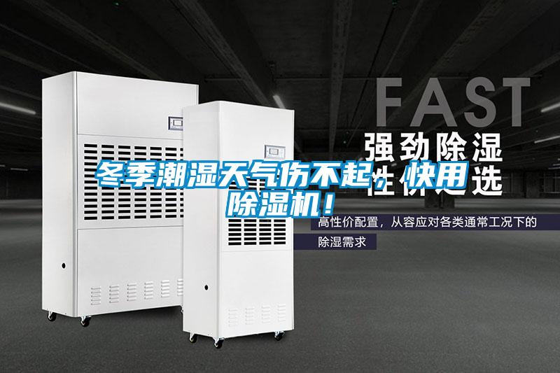 冬季潮濕天氣傷不起，快用除濕機！