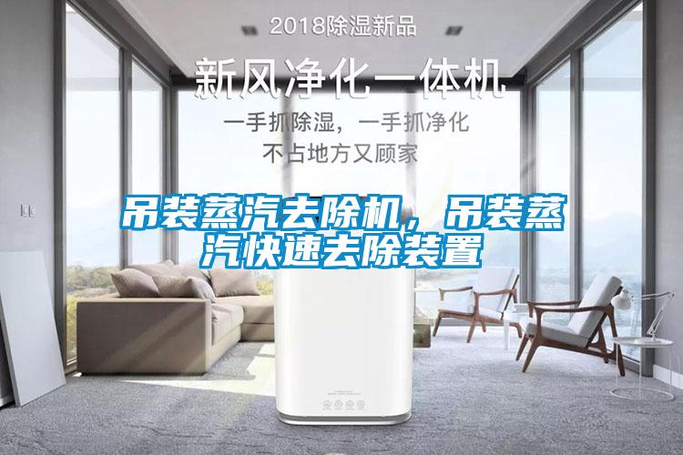 吊裝蒸汽去除機，吊裝蒸汽快速去除裝置