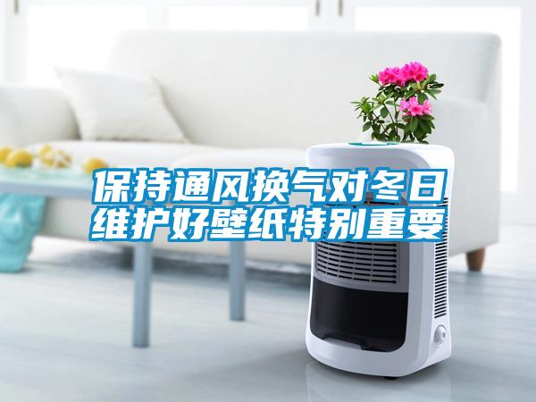 保持通風換氣對冬日維護好壁紙?zhí)貏e重要