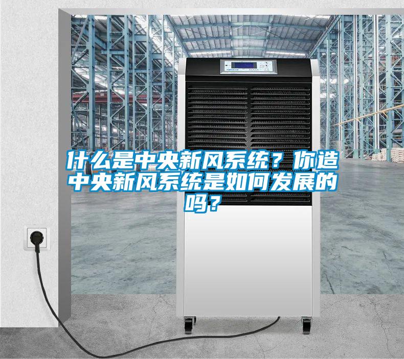 什么是中央新風系統？你造中央新風系統是如何發展的嗎？