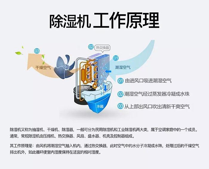 你們見過回南天電梯罷工嗎？