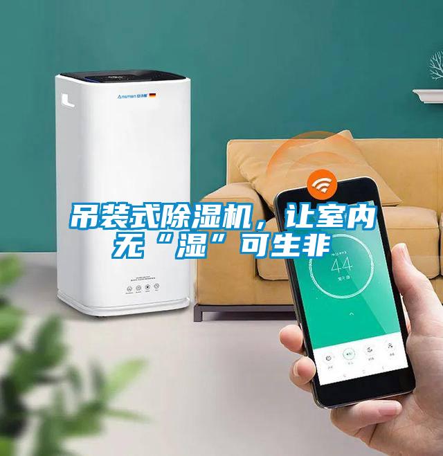 吊裝式除濕機，讓室內(nèi)無“濕”可生非
