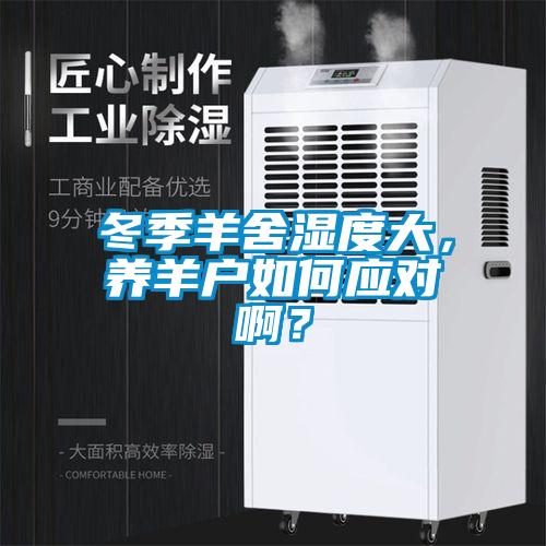 冬季羊舍濕度大，養羊戶如何應對啊？