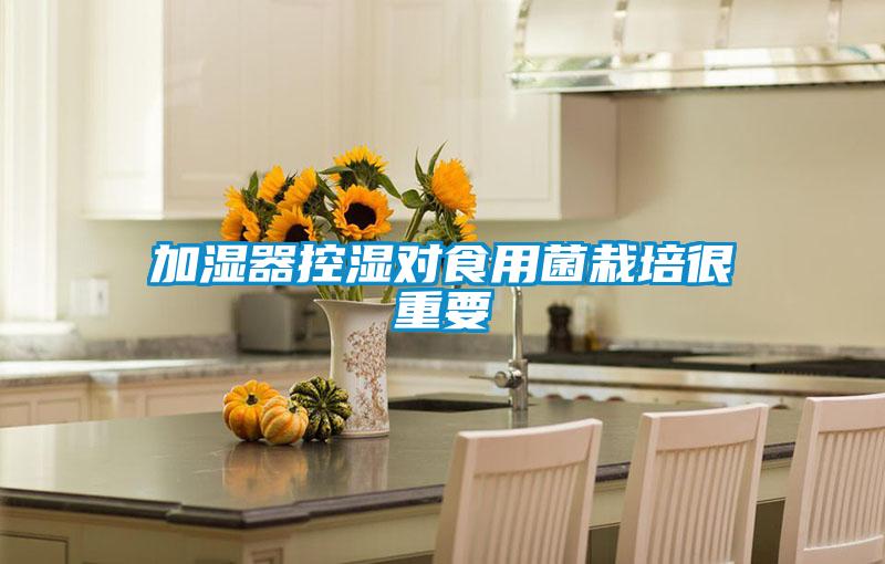 加濕器控濕對(duì)食用菌栽培很重要