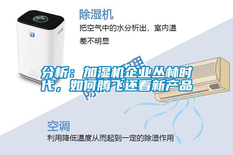 分析：加濕機企業叢林時代，如何騰飛還看新產品