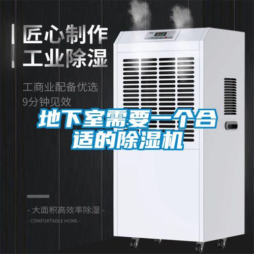 地下室需要一個合適的除濕機(jī)