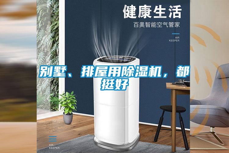 別墅、排屋用除濕機，都挺好