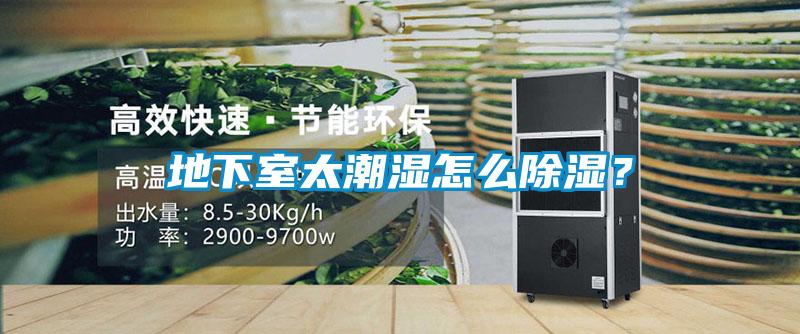 地下室太潮濕怎么除濕？