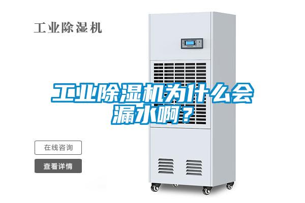 工業(yè)除濕機(jī)為什么會漏水啊？