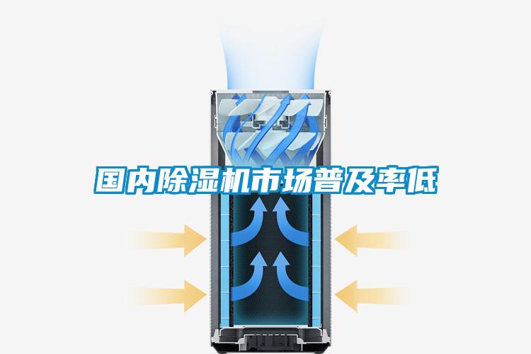 國內(nèi)除濕機(jī)市場普及率低
