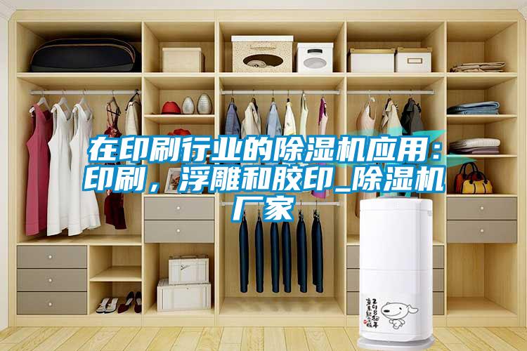 在印刷行業(yè)的除濕機(jī)應(yīng)用：印刷，浮雕和膠印_除濕機(jī)廠家