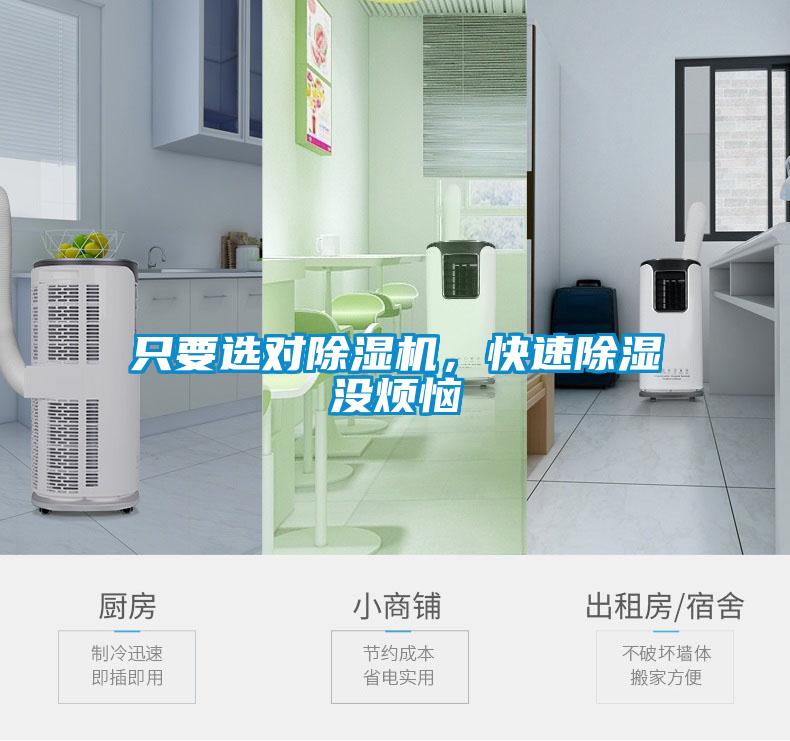只要選對除濕機，快速除濕沒煩惱