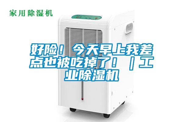 好險！今天早上我差點也被吃掉了?。I(yè)除濕機