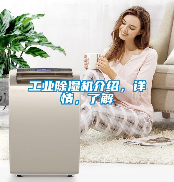 工業除濕機介紹，詳情，了解