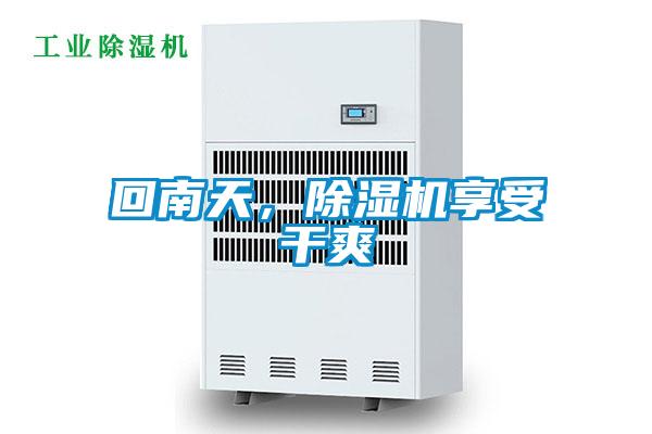 回南天，除濕機享受干爽