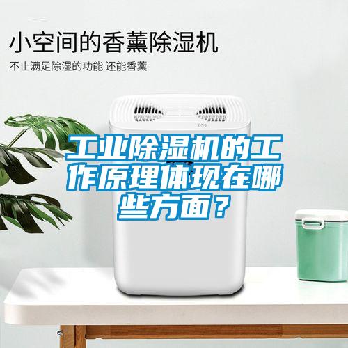 工業除濕機的工作原理體現在哪些方面？
