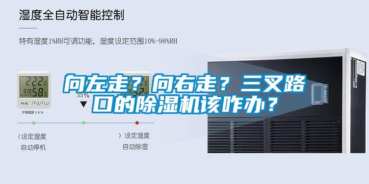 向左走？向右走？三叉路口的除濕機該咋辦？