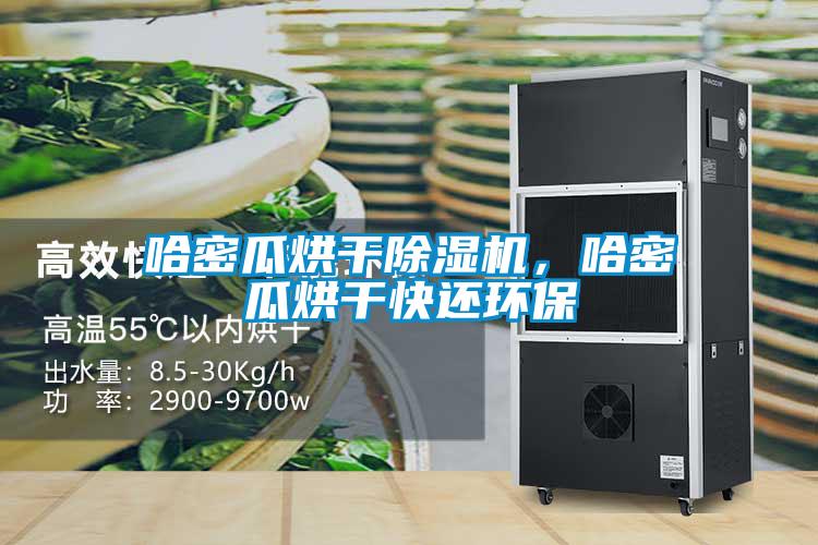 哈密瓜烘干除濕機，哈密瓜烘干快還環保