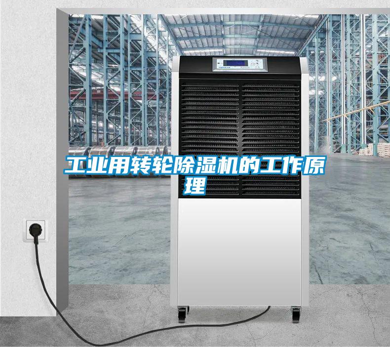 工業(yè)用轉(zhuǎn)輪除濕機的工作原理