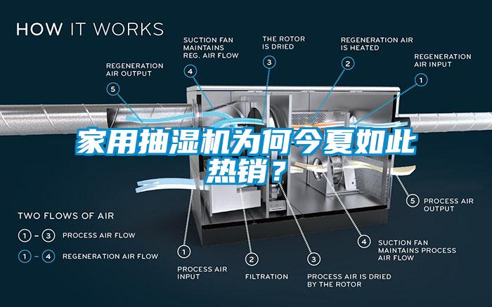 家用抽濕機為何今夏如此熱銷？