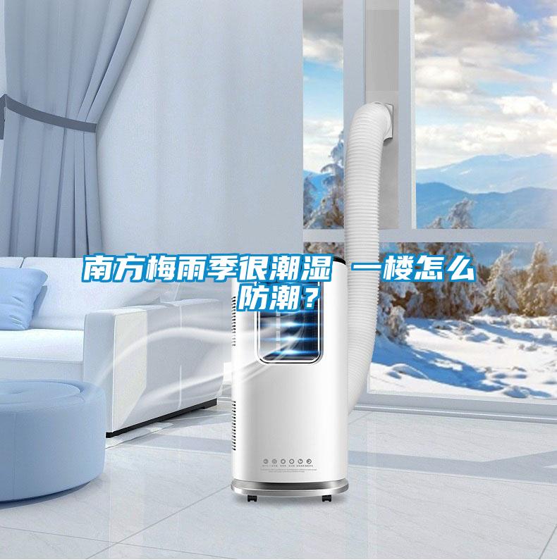 南方梅雨季很潮濕 一樓怎么防潮？