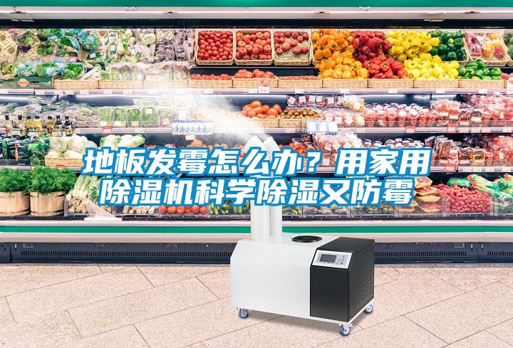 地板發(fā)霉怎么辦？用家用除濕機科學(xué)除濕又防霉