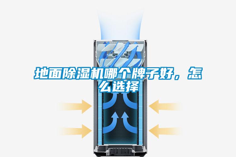 地面除濕機(jī)哪個牌子好，怎么選擇