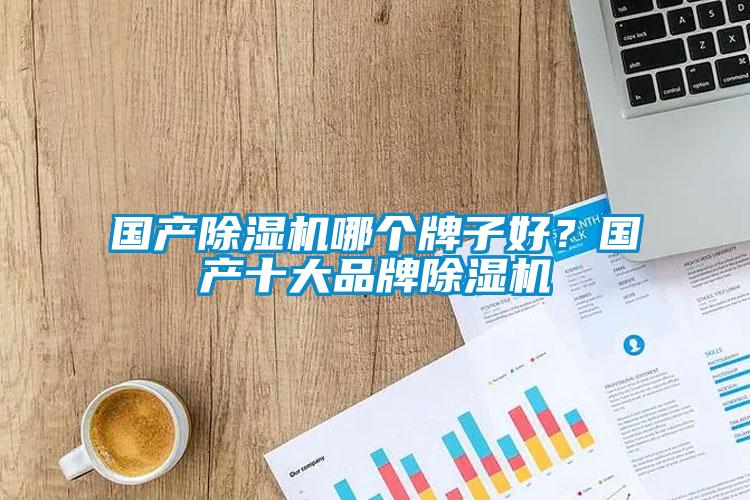 國(guó)產(chǎn)除濕機(jī)哪個(gè)牌子好?國(guó)產(chǎn)十大品牌除濕機(jī)