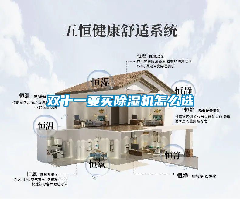 雙十一要買(mǎi)除濕機(jī)怎么選