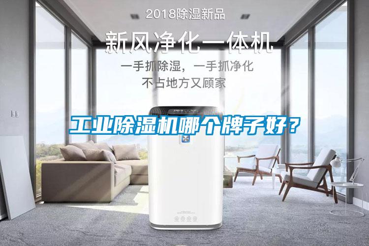 工業除濕機哪個牌子好？