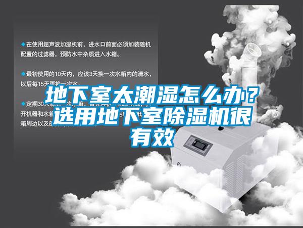 地下室太潮濕怎么辦？選用地下室除濕機很有效