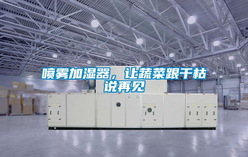 噴霧加濕器，讓蔬菜跟干枯說再見