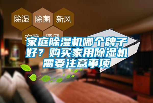 家庭除濕機哪個牌子好？購買家用除濕機需要注意事項