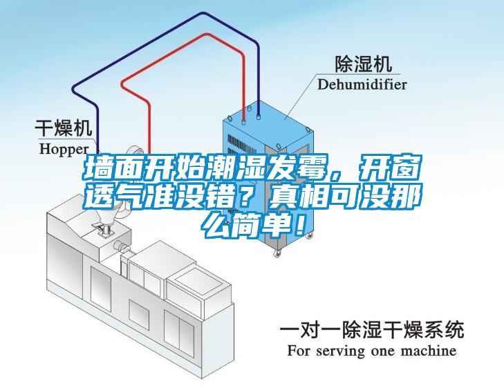 墻面開始潮濕發(fā)霉，開窗透氣準(zhǔn)沒(méi)錯(cuò)？真相可沒(méi)那么簡(jiǎn)單！