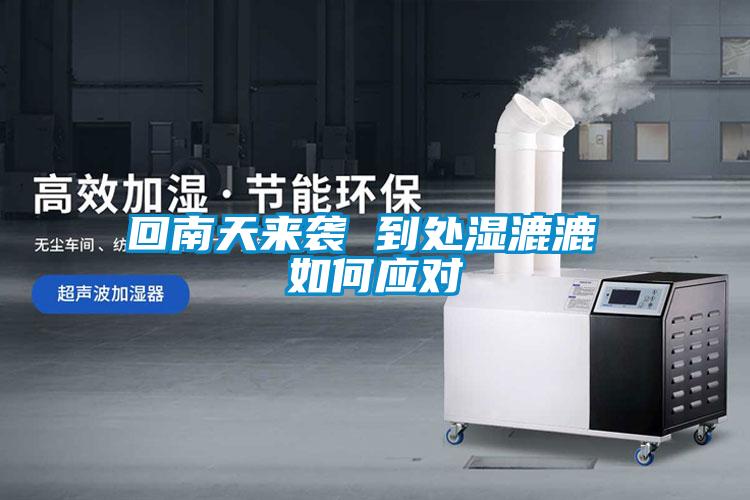 回南天來襲 到處濕漉漉 如何應(yīng)對