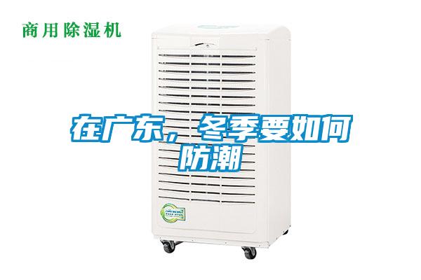在廣東，冬季要如何防潮