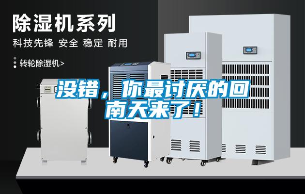 沒錯,你最討厭的回南天來了!