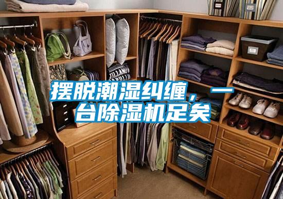 擺脫潮濕糾纏，一臺(tái)除濕機(jī)足矣