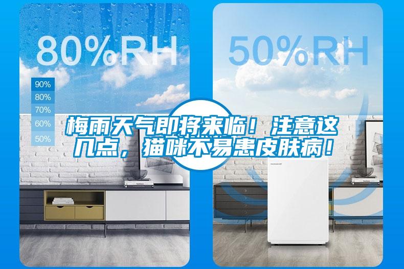 梅雨天氣即將來臨！注意這幾點(diǎn)，貓咪不易患皮膚?。?/></p>
						    <p style=